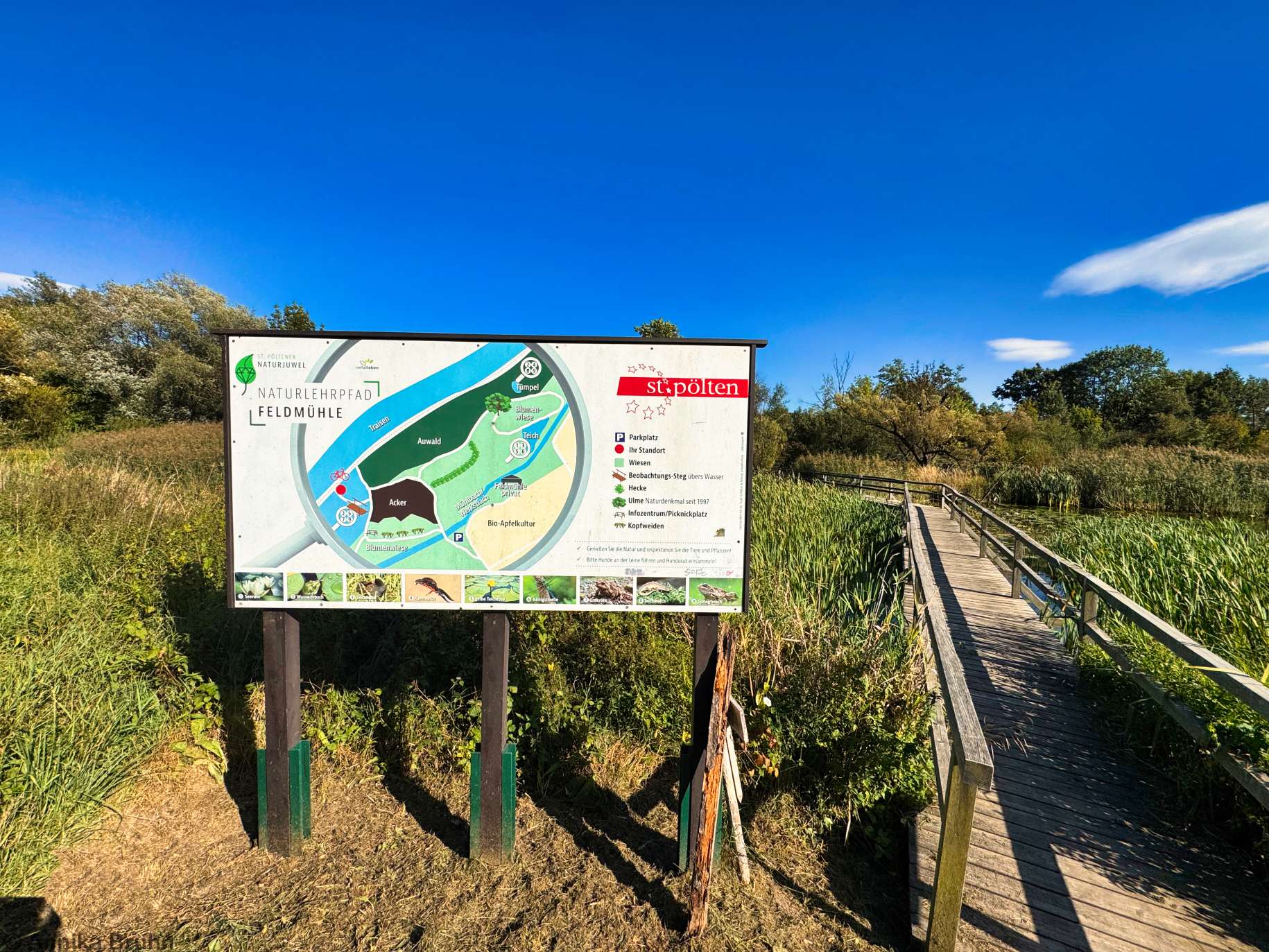 Naturlehrpfad Feldmühle in St. Pölten